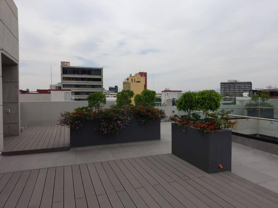 New Beautiful Near Reforma