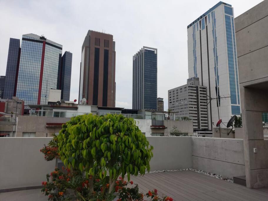 New Beautiful Near Reforma Città del Messico